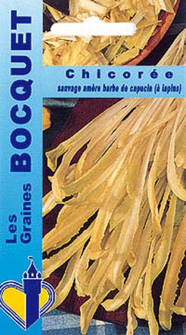 Graines de Chicorée sauvage barbe de capucin | Graines Bocquet
