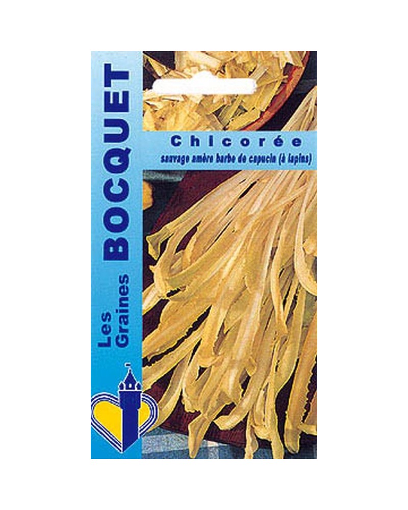 Graines de Chicorée sauvage barbe de capucin | Graines Bocquet