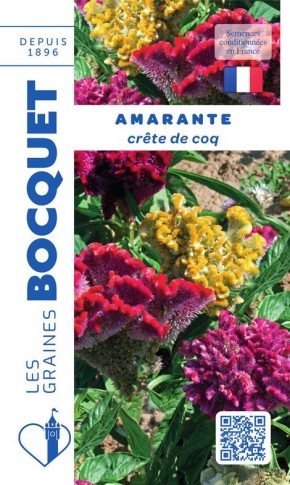 Graines d'Amarante crête de coq à semer | Graines Bocquet