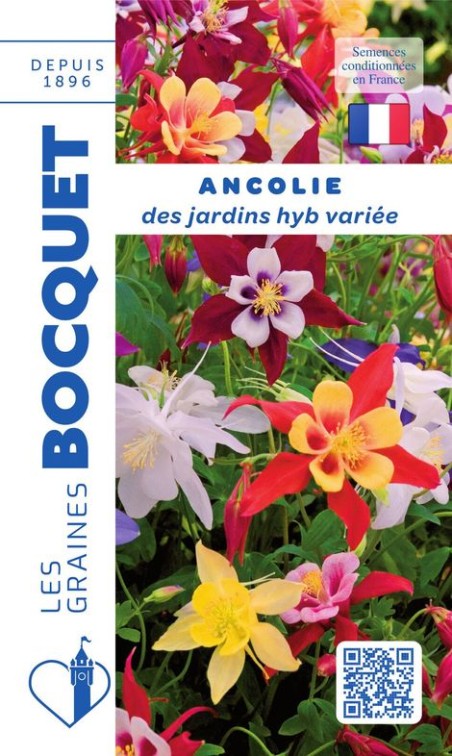 Graines de fleurs Ancolie des jardins variée | Graines Bocquet