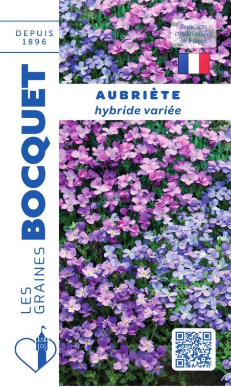 Graines d'Aubriétia purpuréa hybride variée | Graines Bocquet
