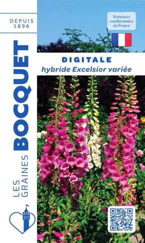 Digitale excelsior variée | Graines Bocquet