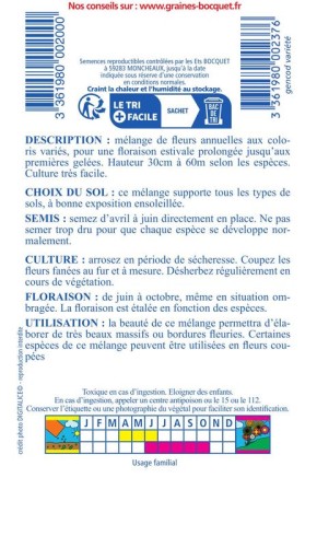 Fleurs champêtres en mélange