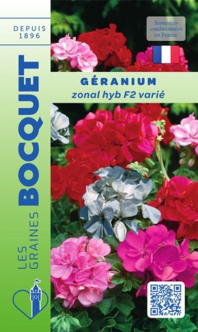 Géranium HYB F2 varié | Graines Bocquet