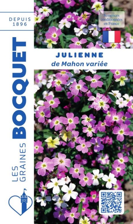 Graines de Fleurs Julienne de Mahon Variée | Graines Bocquet