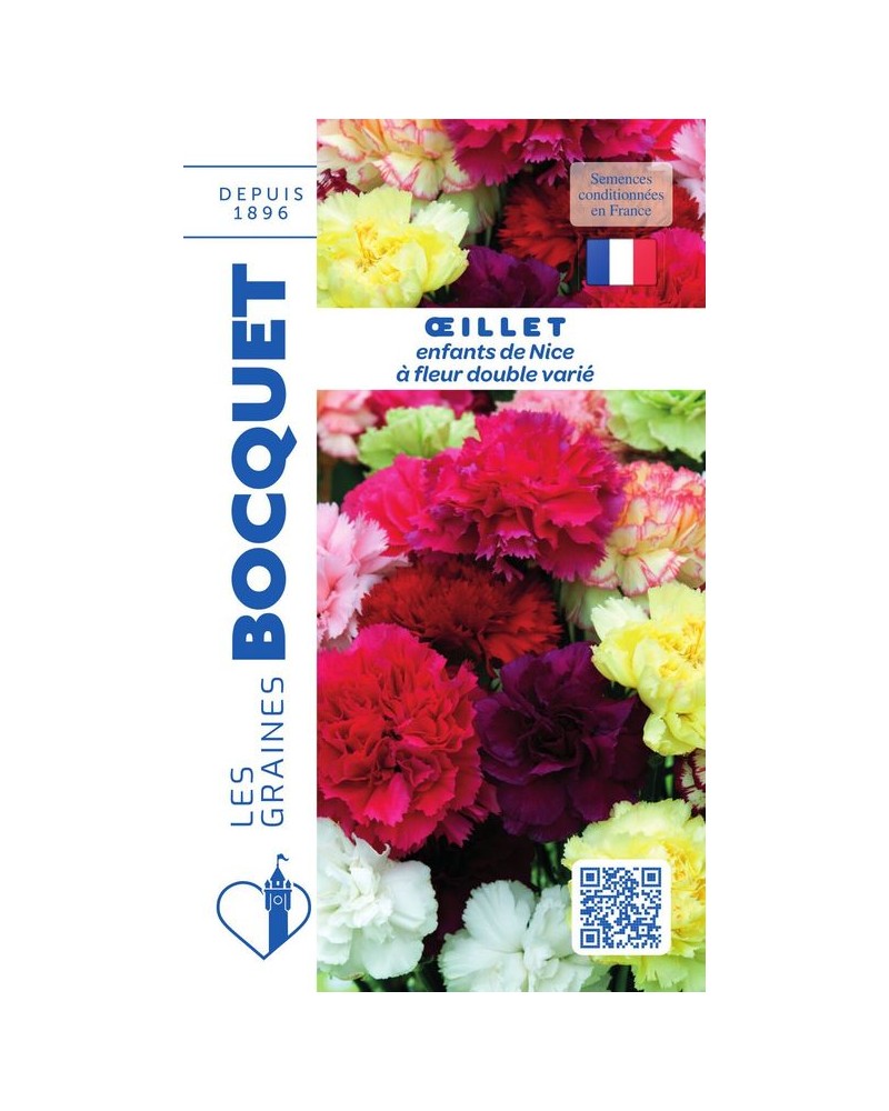 Graines d'Oeillet Enfants de Nice double varié | Graines Bocquet