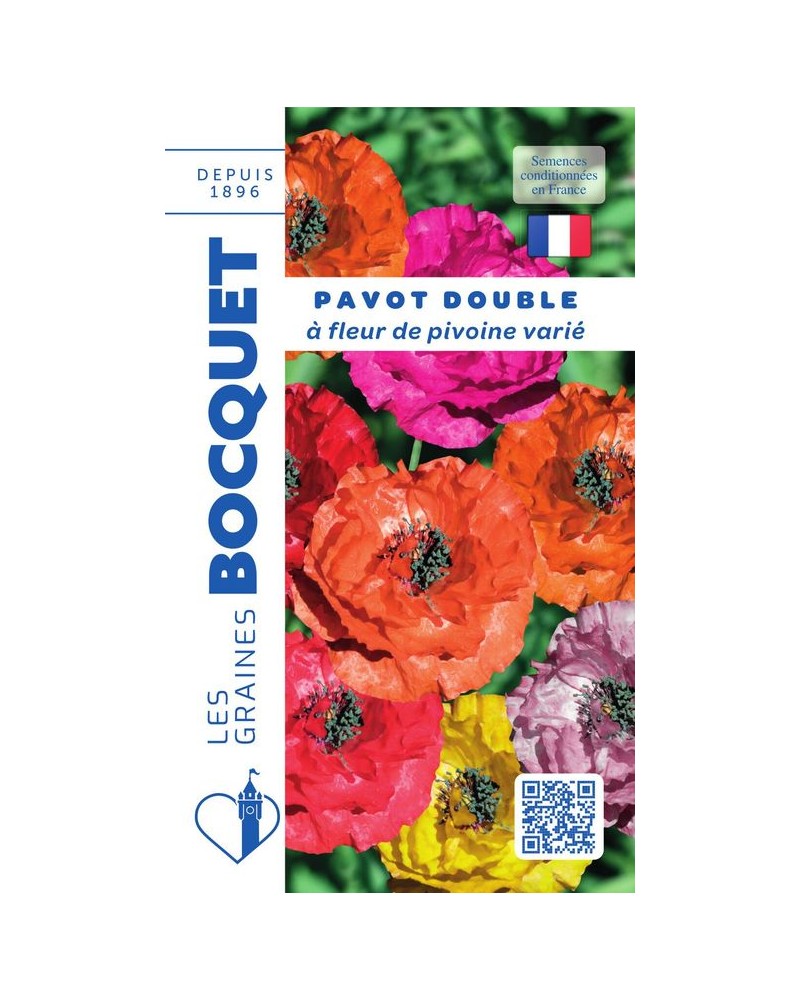 Pavot double à fleur de pivoine varié à semer | Graines Bocquet