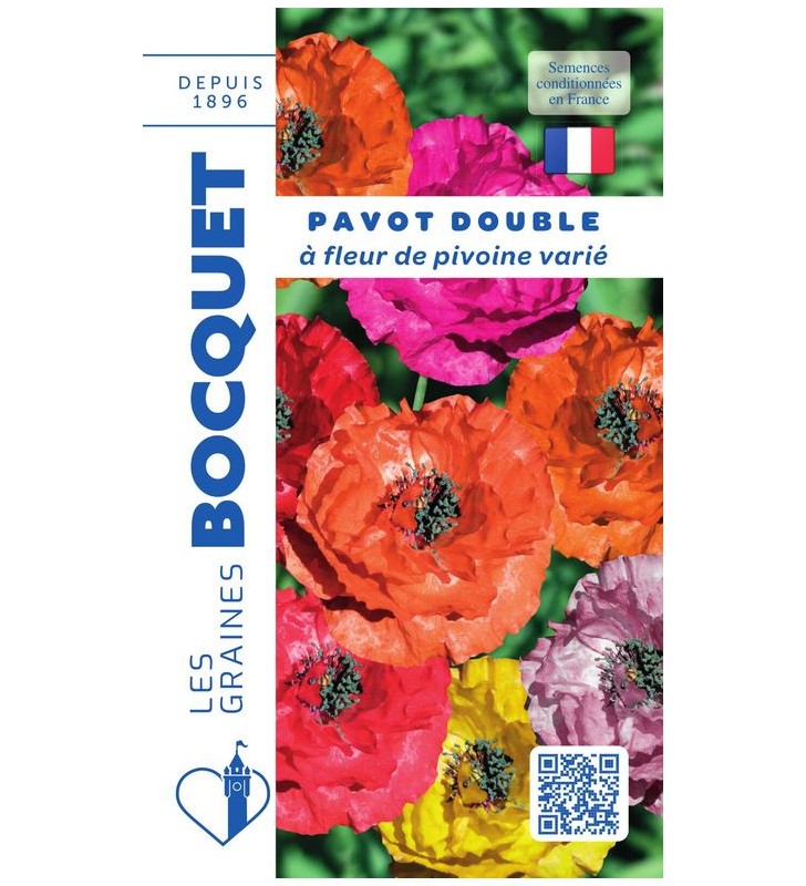 Pavot double à fleur de pivoine varié Pavot double à fleur de pivoine varié