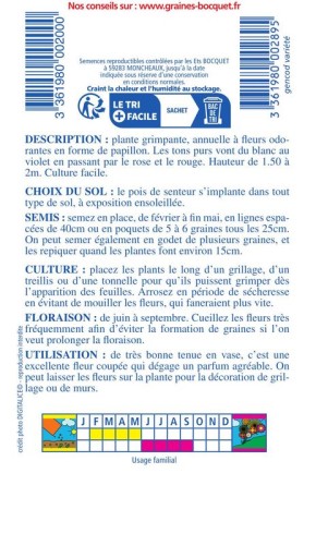 Pois de senteur grimpant Spencer varié