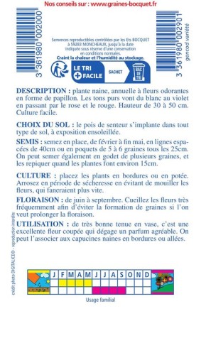 Pois de senteur nain Cupidon varié