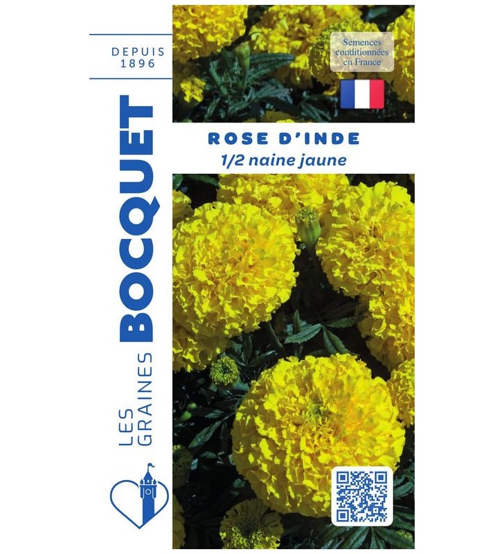 Rose d'Inde demi naine jaune