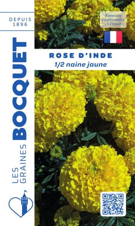 Rose d'Inde demi naine jaune