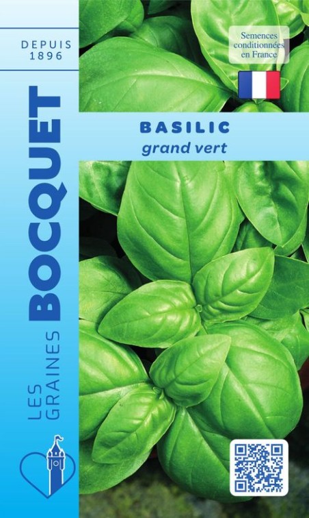 Graines de Basilic grand vert - Aromatique | Graines Bocquet