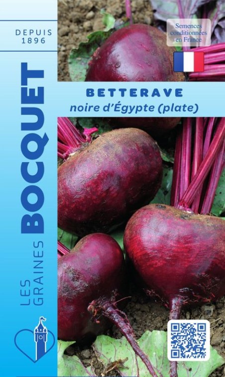 Graines de betterave noire d'Egypte à semer | Graines Bocquet