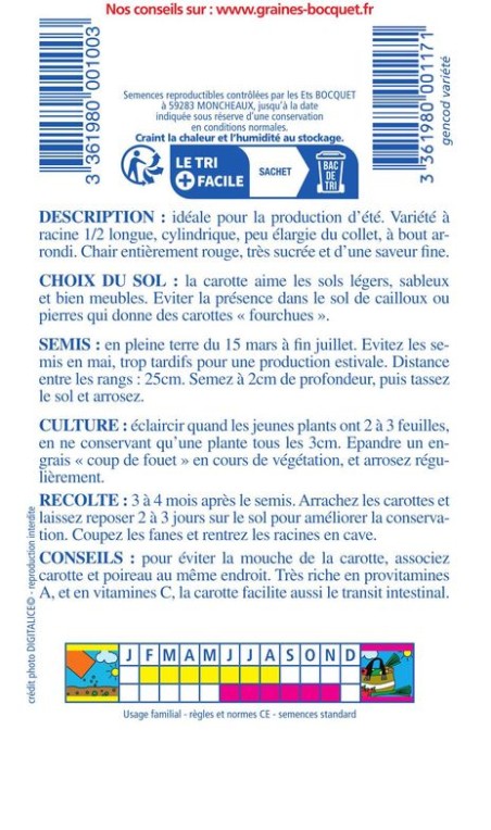 Carotte nantaise améliorée-3