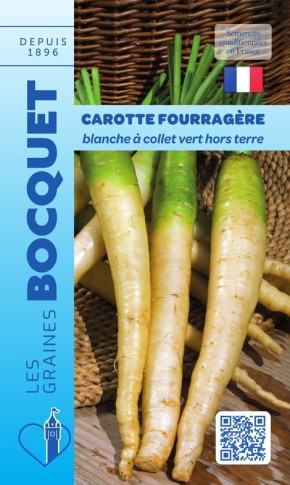 Graines de Carotte blanche à collet vert à semer| Graines Bocquet