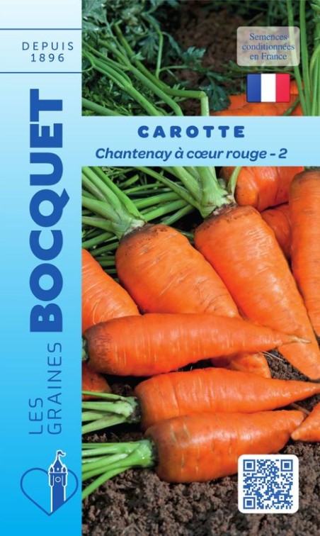Graines de Carotte Chantenay à cœur rouge-3 | Graines Bocquet
