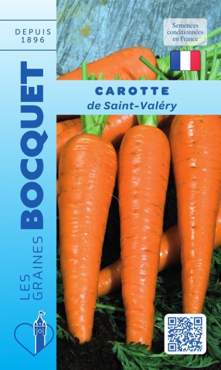 Graines de carotte longue de Saint Valéry | Graines Bocquet