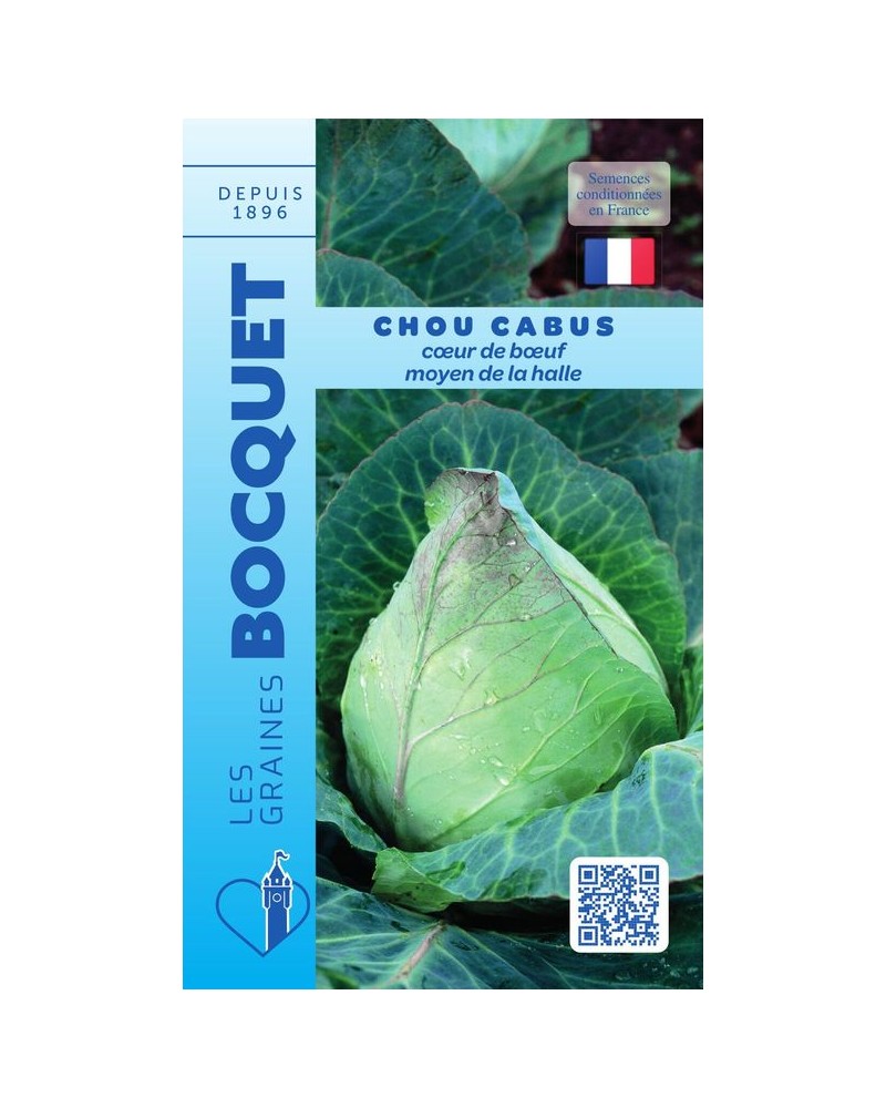 Chou cabus cœur de bœuf moyen de la halle | Graines Bocquet