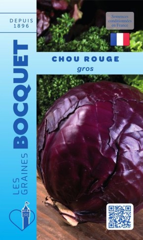 Graines de Chou rouge gros à semer au potager | Graines Bocquet
