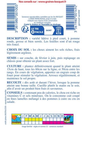 Chou rouge gros