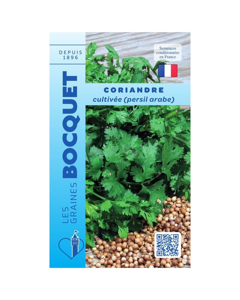Graines de Coriandre Cultivée - Aromatique | Graines Bocquet