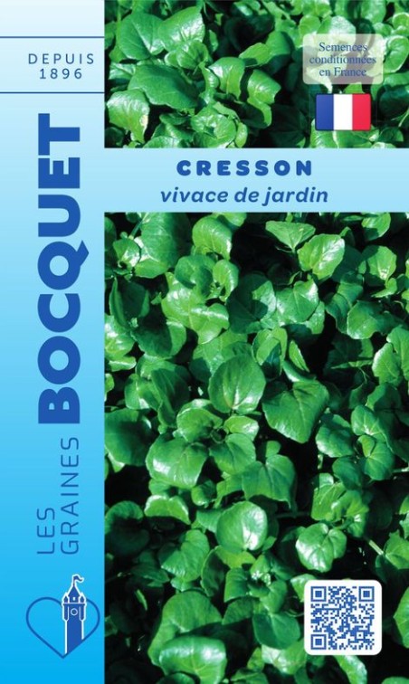 Graines de cresson vivace de jardin à semer | Graines Bocquet