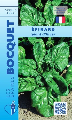 Graines d'épinard géant d'hiver à semer | Graines Bocquet