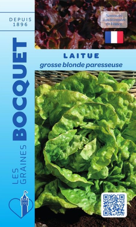Laitue d'été Grosse blonde paresseuse | Graines Bocquet