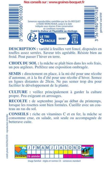 Mâche verte ronde maraîchère