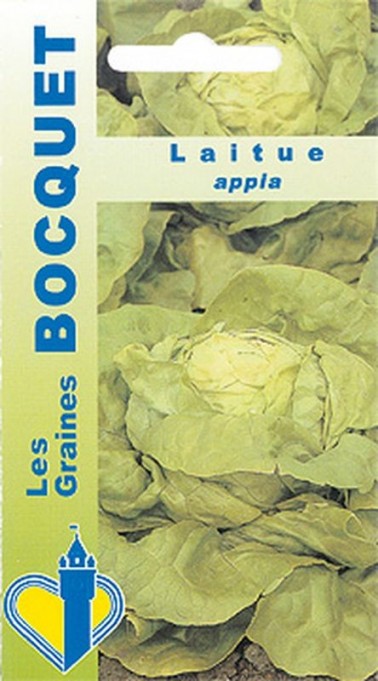 Graines de Laitue Appia à semer au potager | Graines Bocquet