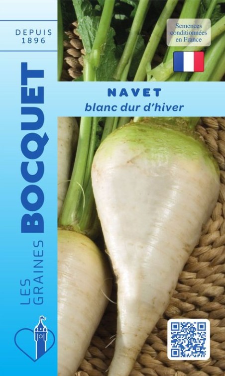 Graines de navet blanc dur d'hiver à semer | Les Graines Bocquet