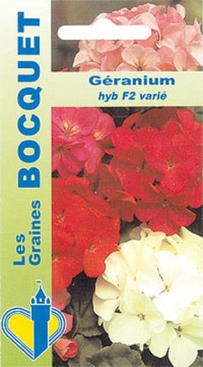 Géranium HYB F2 varié | Graines Bocquet