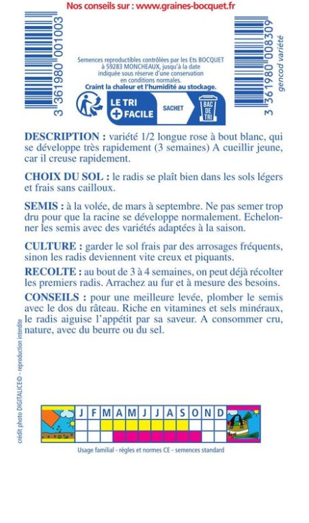 Radis demi-long de 18 jours