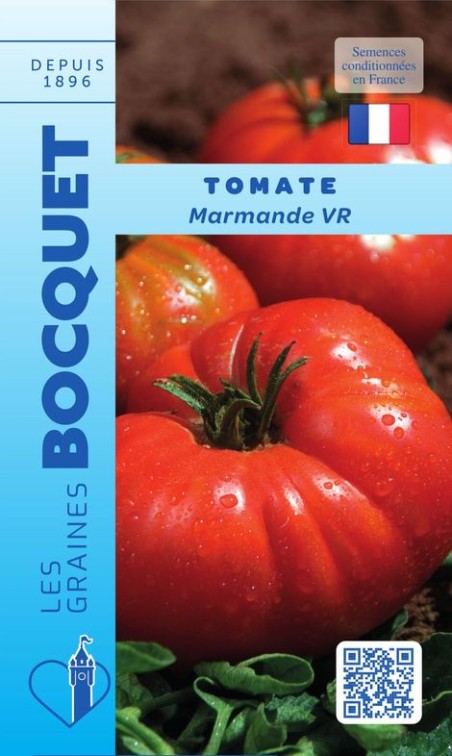 Tomate Marmande Hâtive VR (à Végétation Réduite)
