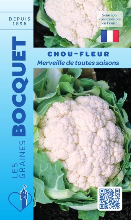 Graines de Chou fleur merveille des 4 saisons | Graines Bocquet