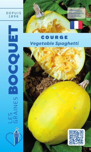 Graines de courge Vegetable Spaghetti à semer | Graines Bocquet