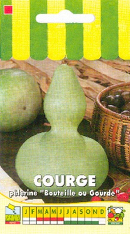 Courge décorative Pèlerine ( bouteille Pèlerine )