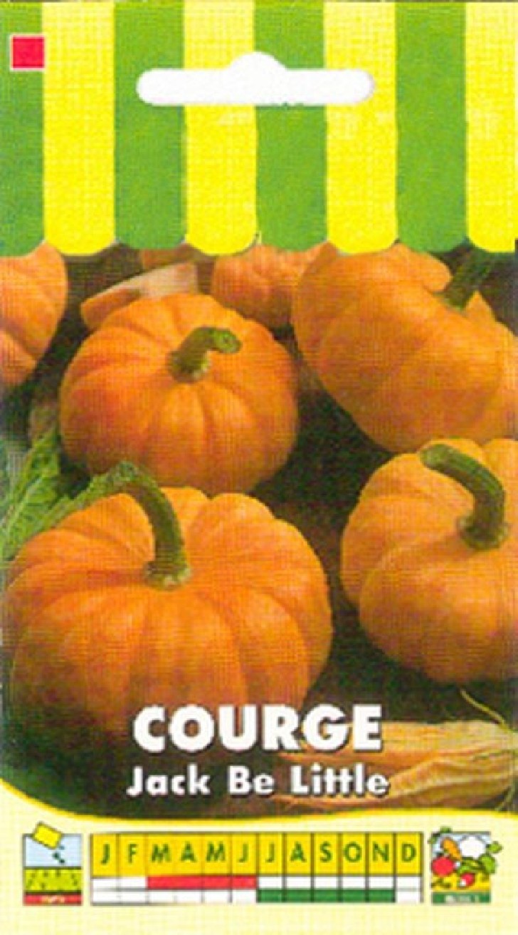 Courge Jack Be Little