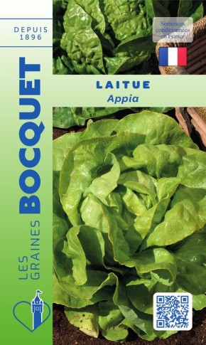 Graines de Laitue Appia à semer au potager | Graines Bocquet
