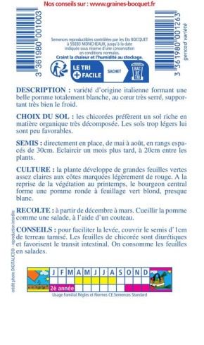 Chicorée à large feuille Bianca Invernale