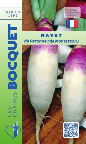 Graines de Navet de Péronne à semer au potager| Graines bocquet