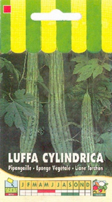 Graines de Luffa cylindrica - Courge éponge - Boutique Végétale
