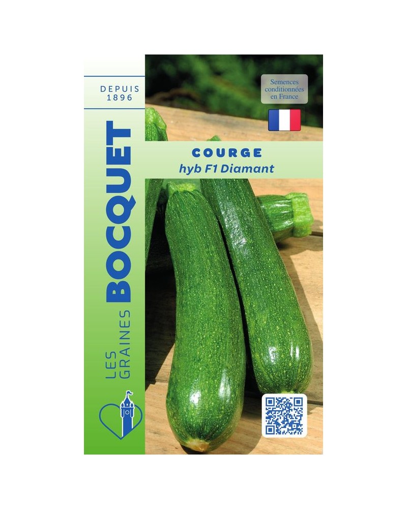 Graines de Courge Hyb F1 Diamant à semer| Les Graines Bocquet