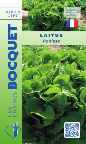 Graines potagères de Laitue Panisse à semer | Les Graines Bocquet