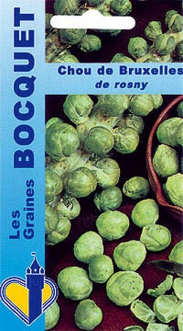 Graines de Chou de Bruxelles de Rosny à semer| Graines Bocquet