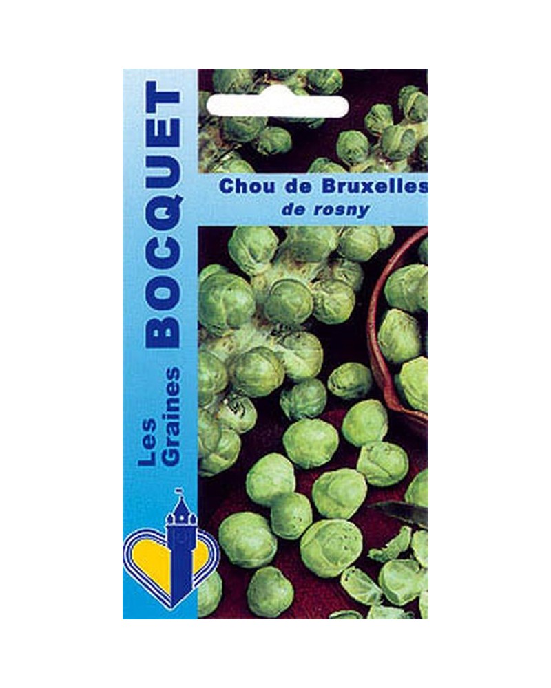 Graines de Chou de Bruxelles de Rosny à semer| Graines Bocquet