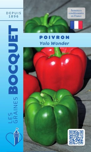 Graines de Poivron Yolo Wonder à semer  | Les Graines Bocquet