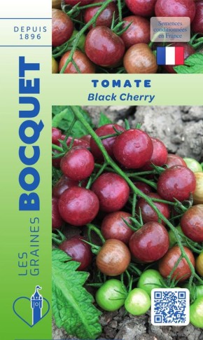 Graines de Tomate Black Cherry à semer | Les Graines Bocquet