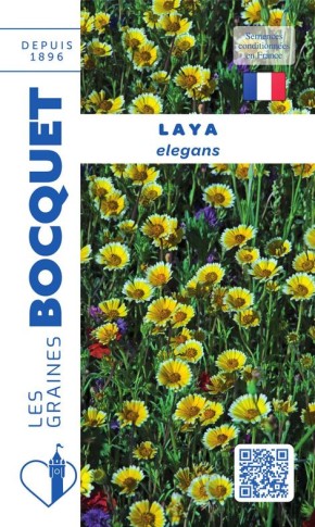 Graines de Laya Elegans à semer au jardin | Les Graines Bocquet